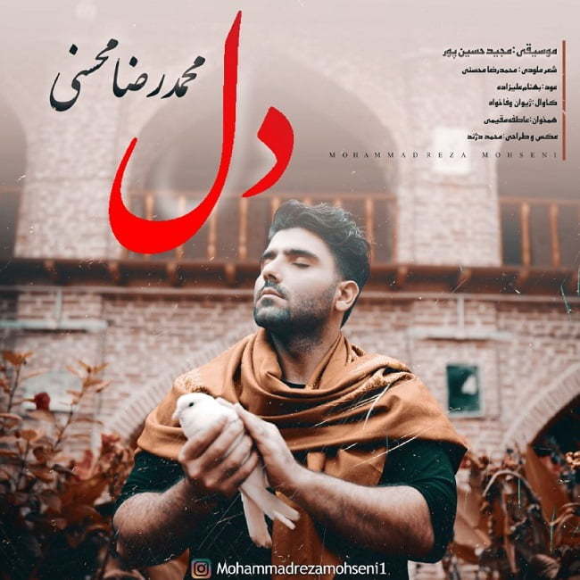 محمدرضا محسنی دل
